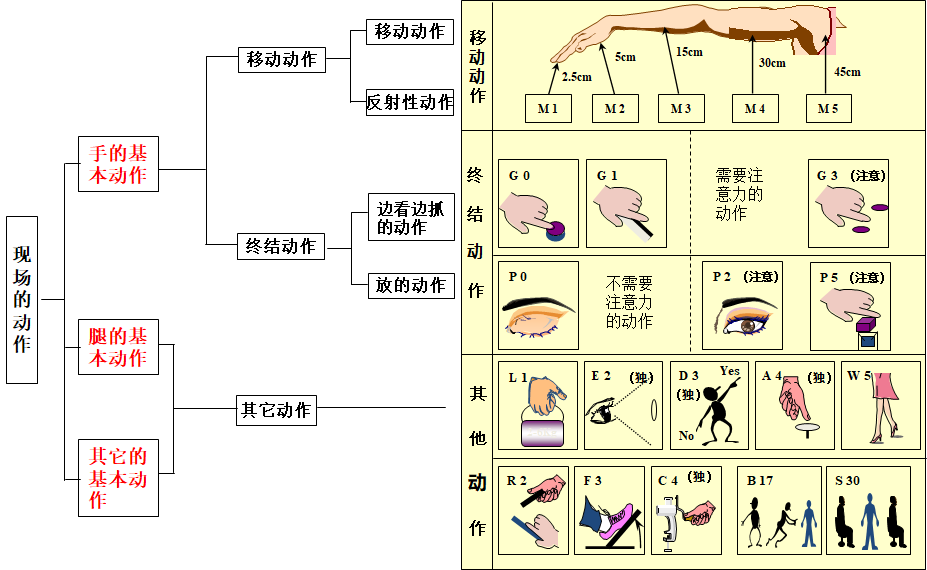 MOD（模特法）动作分析法